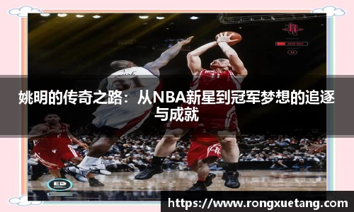 星空体育网站